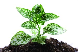 市场消费中如何避免过度消费
